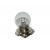 lamp 12V  15w    p26s + kraag